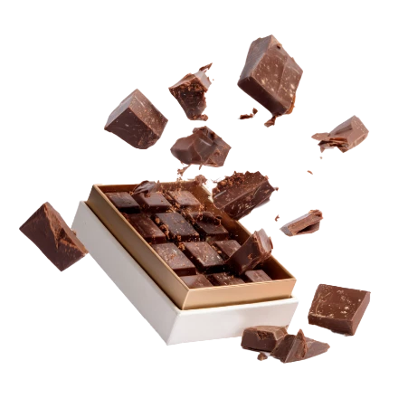 annecy chocolat